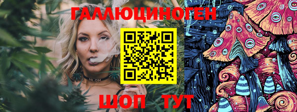 Псилоцибиновые грибы Psilocybe  Вход с VPN  Владикавказ  Галлюциногенные грибы Psilocybe 