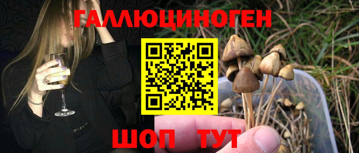 Галлюциногенные грибы мицелий Владикавказ